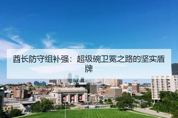 酋长防守组补强：超级碗卫冕之路的坚实盾牌