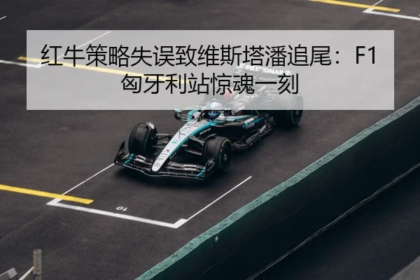hong-niu-ce-lve-shi-wu-zhi-wei-si-ta-pan-zhui-wei-xiong-ya-li-zhan-jing-hun-yi-ke-3-446.jpg